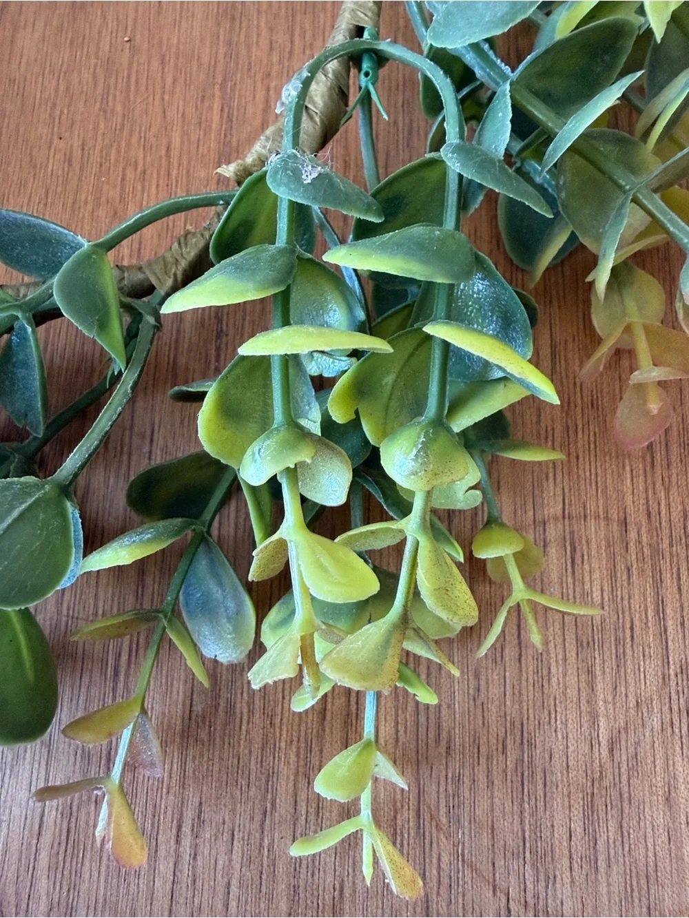 Target Green and Yellow Faux Boxwood Wreath Set